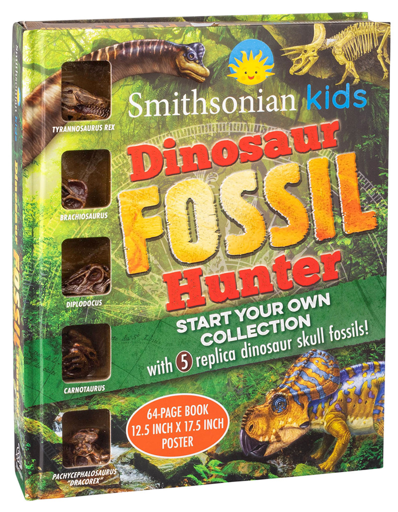 Cover image for Dinosaurs